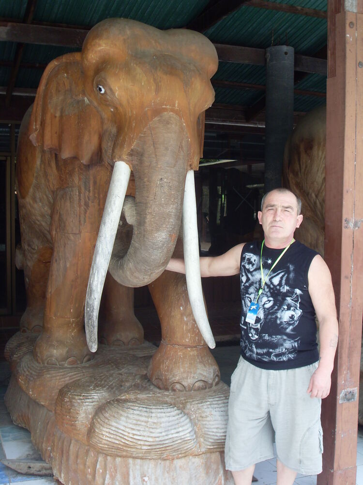 ���� 53241321 ������� �������, 66 ���, ���� ���������� � ������ ���������