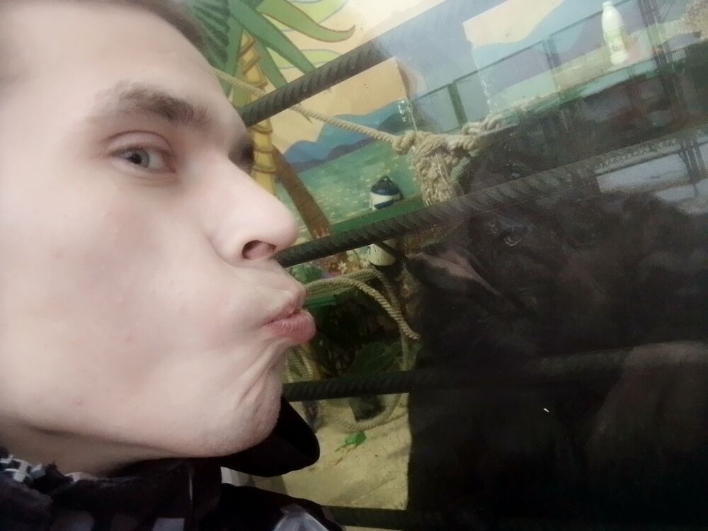 ���������� �����, ���� ������� ����, 33 ����, ������������ ��� ������, ����� � ���������, c�������� ���������, ���������