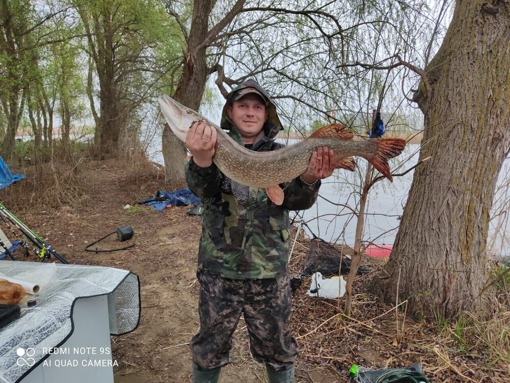 ���������� �����, ���� ������� �����, 40 ���, ������������ ��� c�������� ���������