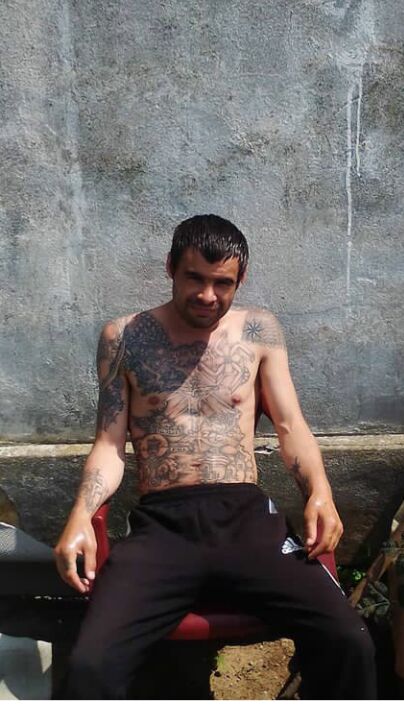 ���� 25294441 ������� �������, 31 ���, ���� ���������� � ������