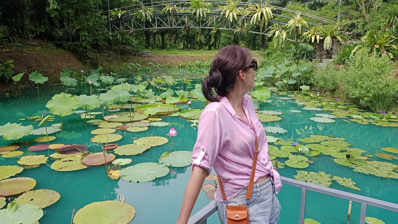 ���� 55554921 ������� ��������, 46 ���, ���� ���������� � ���������