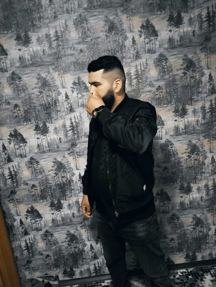  31373561  , 31 ,    