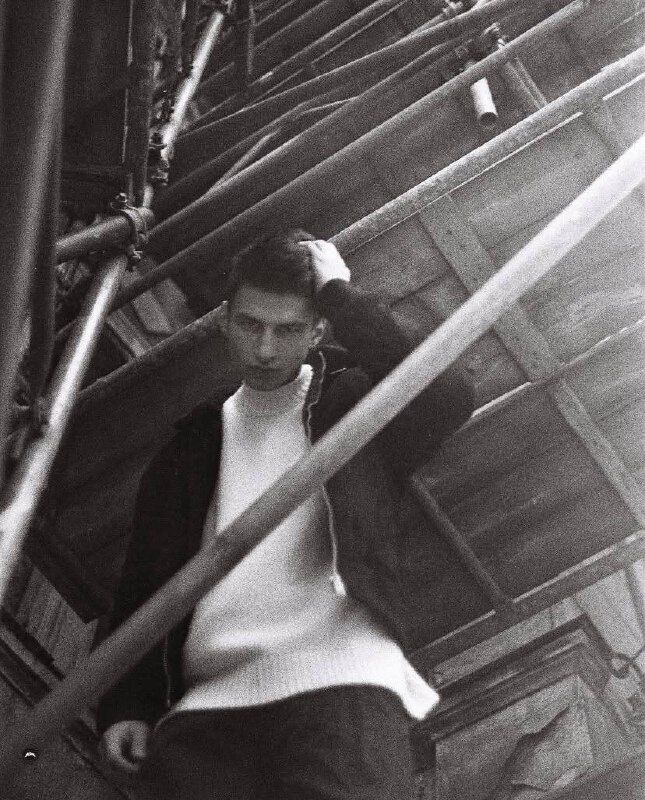 ���� 53020581 ����� �������, 24 ����, ���� ���������� � �������