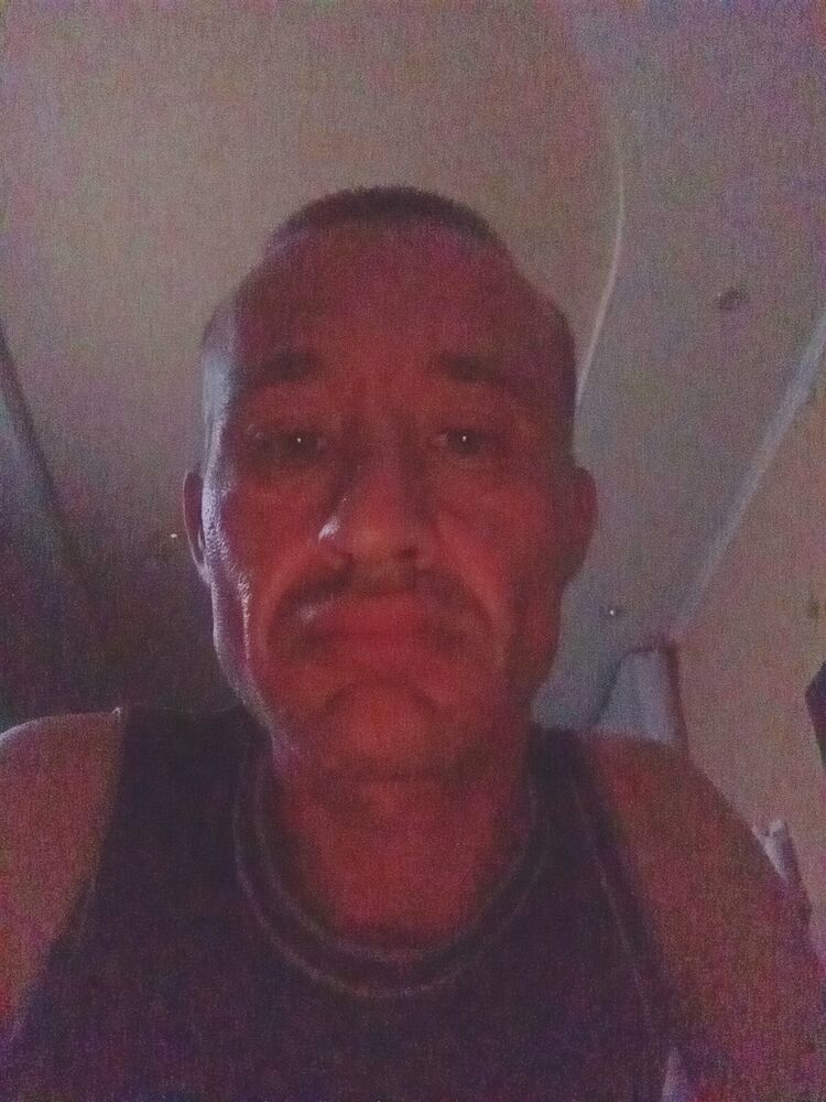  53392731  , 39 ,    -