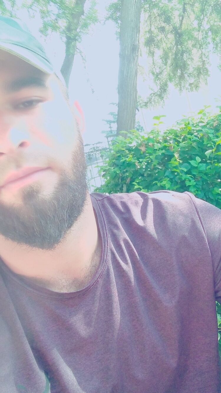  29136331  , 29 ,    