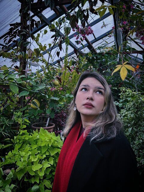  54327031  , 24 ,    -