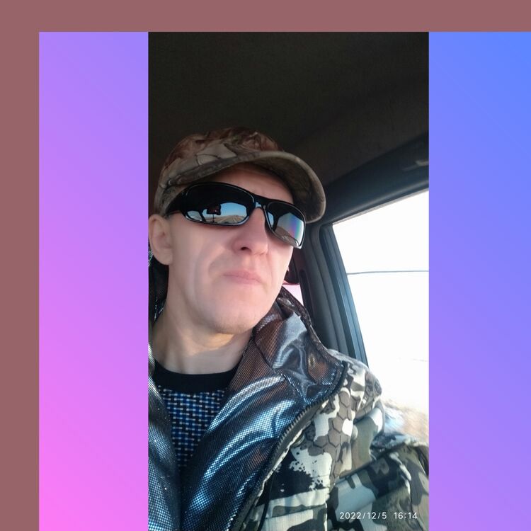  33801641  , 50 ,    