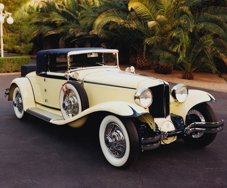 ���� 6864041 ������� Raxa, 42 ����, ���� ���������� � ������