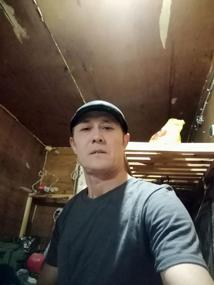  42154831  , 49 ,    
