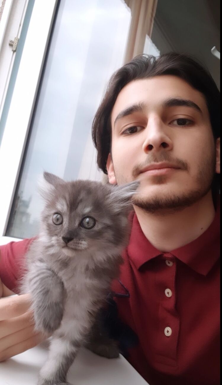 ���������� ���, ���� ������� �������, 26 ���, ������������ ��� ����� � ���������, c�������� ���������