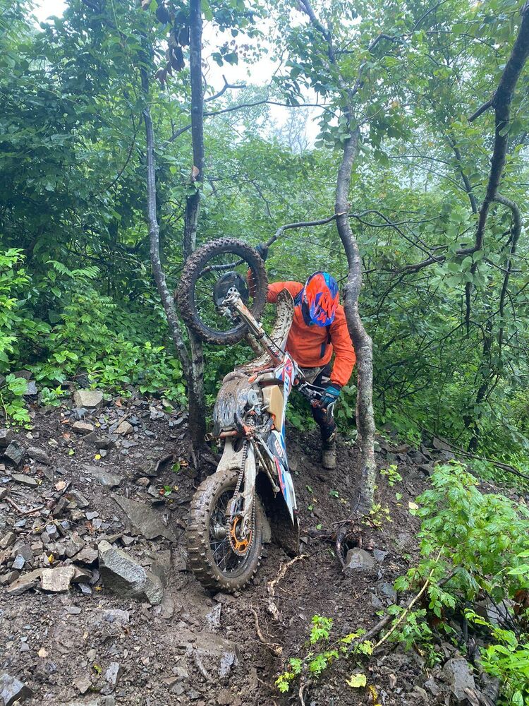 ���� 37074581 ������� �����, 31 ���, ���� ���������� � ������������