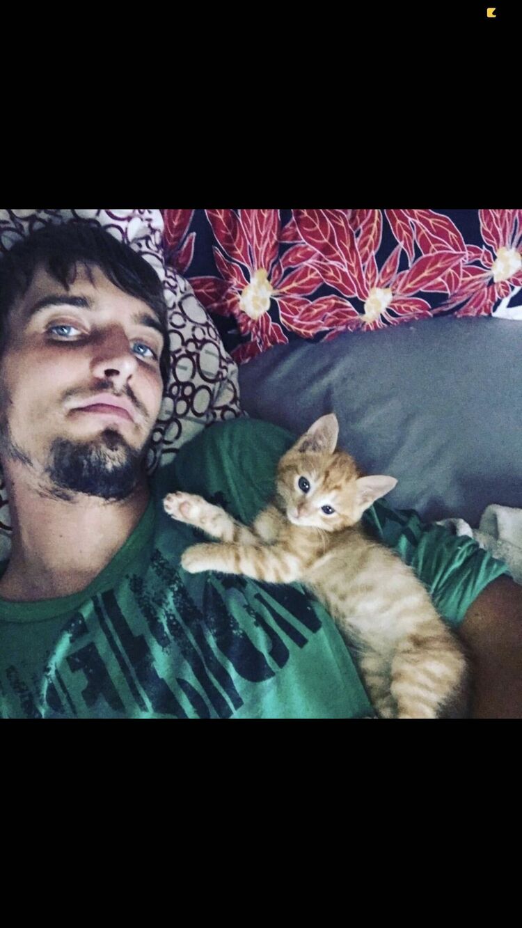 ���� 32058451 ������� Pit, 35 ���, ���� ���������� � ������������