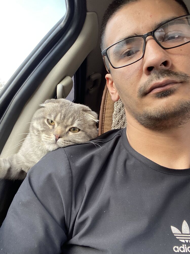  ,   , 31 ,   ,   , 