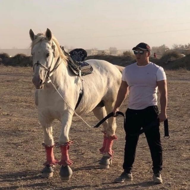 ���� 37050411 ������� �����, 35 ���, ���� ���������� � ��������