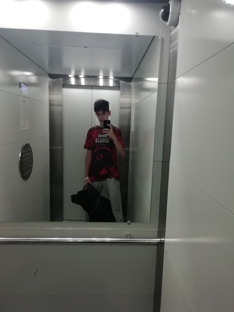 ���� 53557251 ����� ����, 19 ���, ���� ���������� � ����������