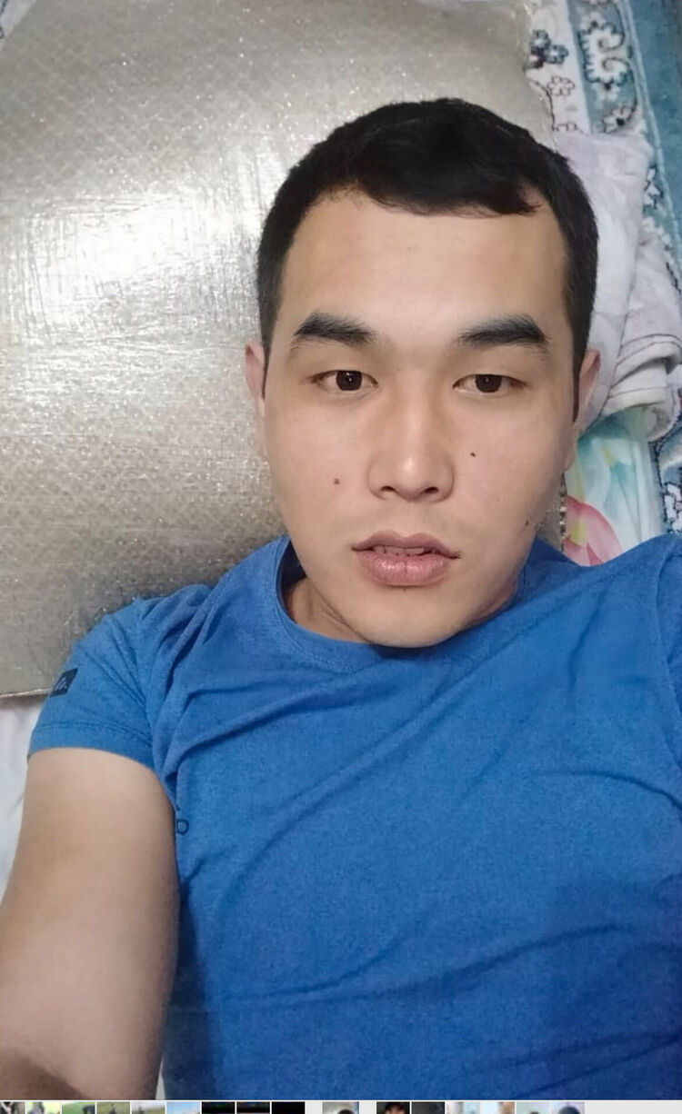  45855331  , 24 ,    