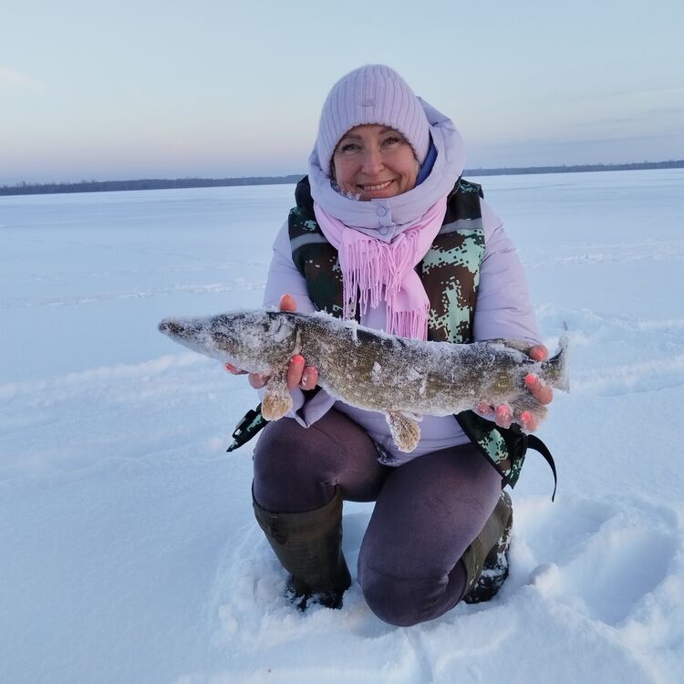 ���������� �����, ���� ������� �����, 52 ����, ������������ ��� ������, ����� � ���������, c�������� ���������, ���������