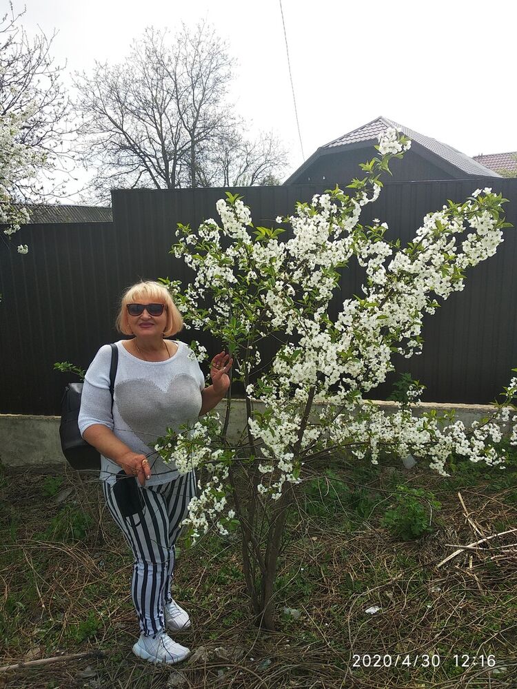  ,   Sveta, 63 ,  