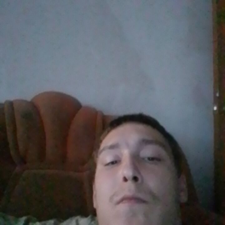  45979871  , 31 ,    