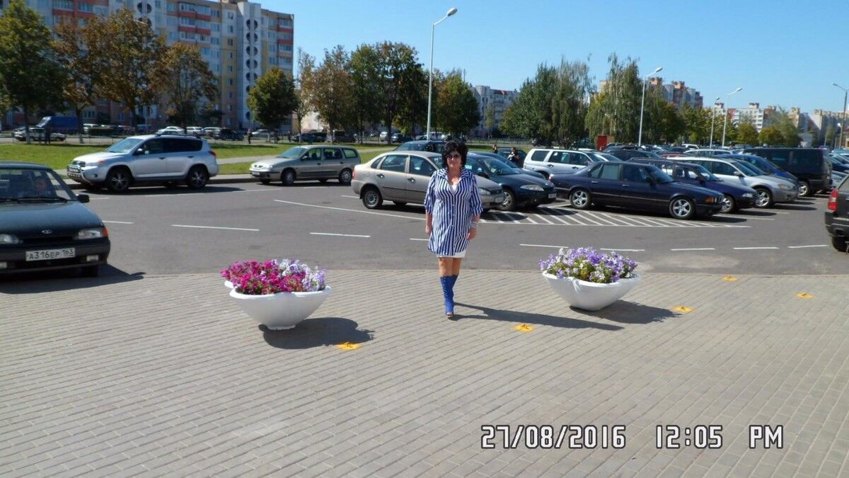  7964831  , 63 ,    