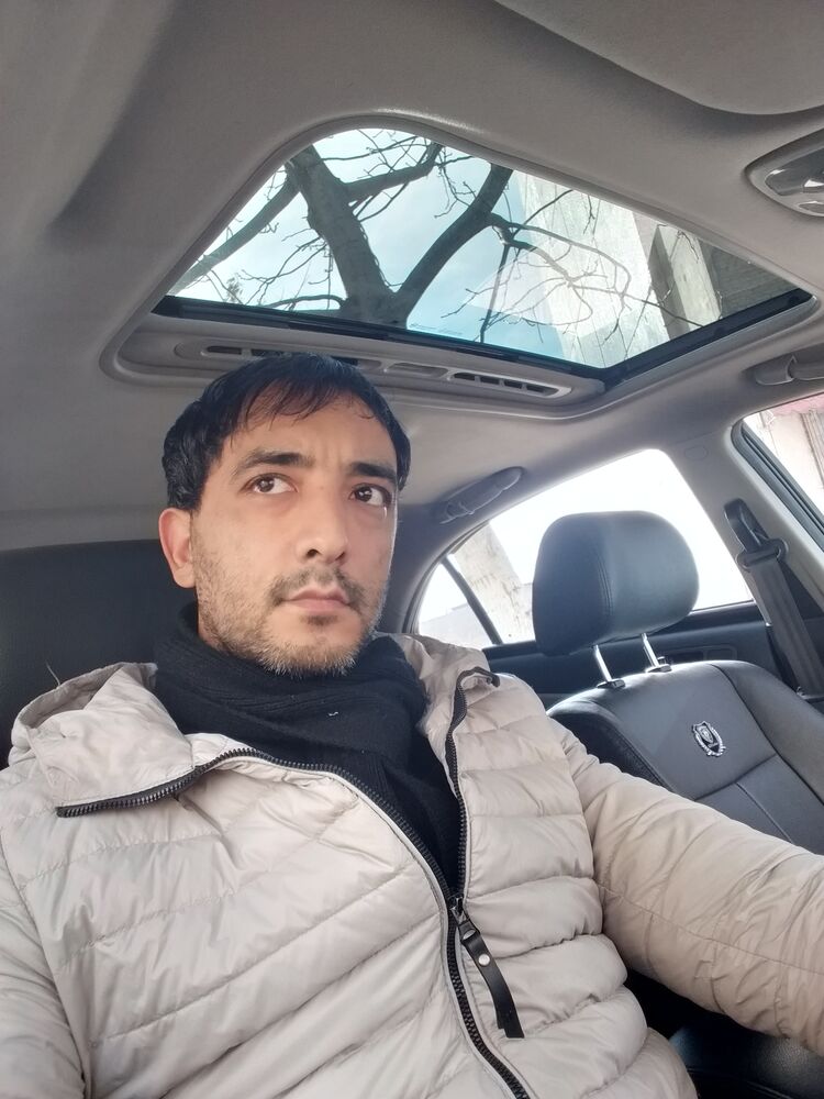  31349221  , 43 ,    