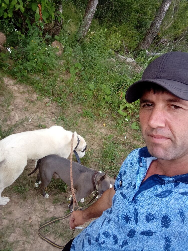 ���������� ������, ���� ������� ������, 40 ���, ������������ ��� ������, ����� � ���������