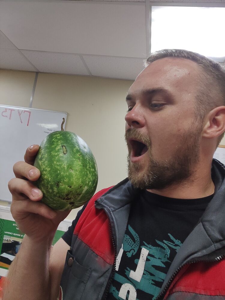 ���������� ����, ���� ������� ����, 37 ���, ������������ ��� c�������� ���������