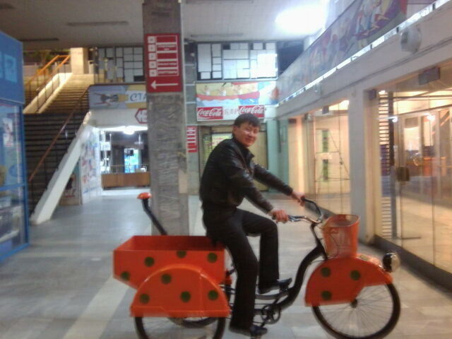 ���� 35562071 ������� ����, 36 ���, ���� ���������� � ������