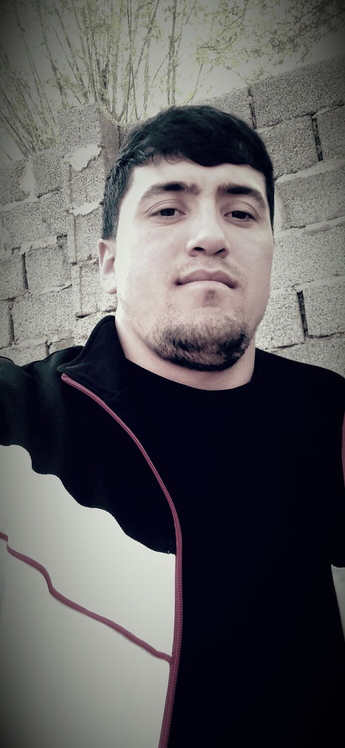  33584171  , 26 ,    