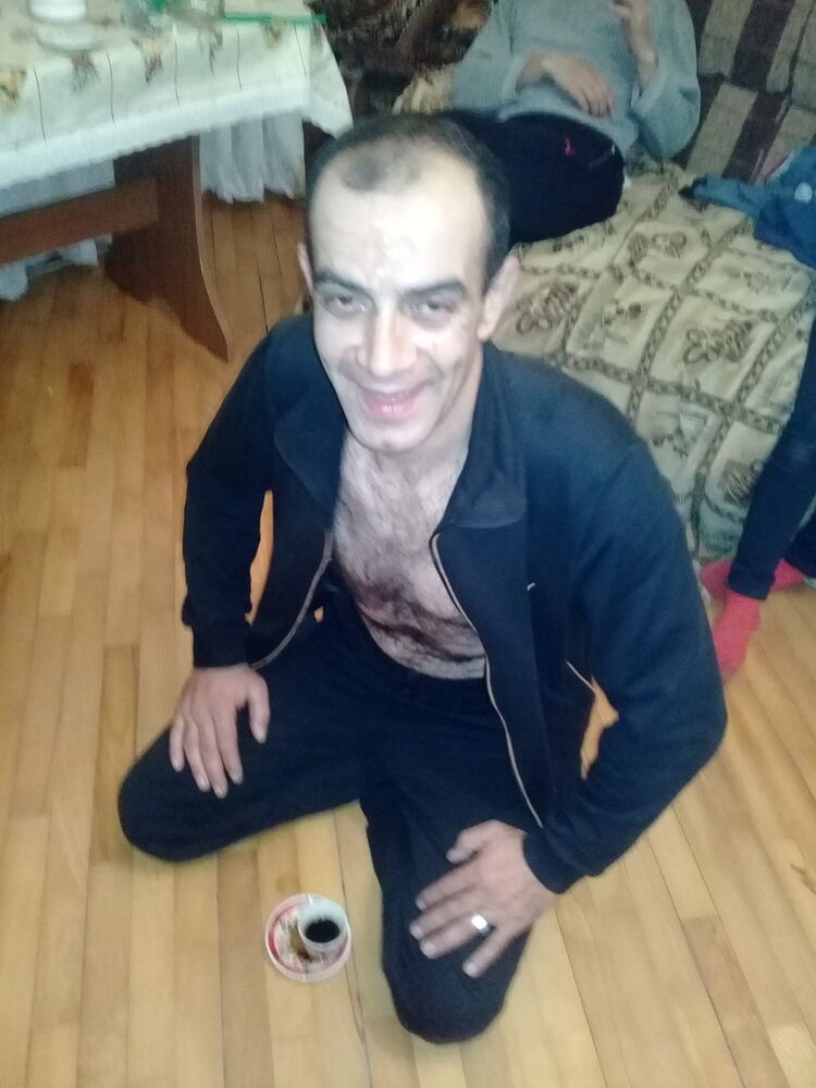  15288231  , 43 ,    