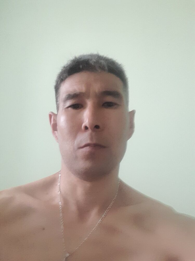  26637981  , 44 ,    