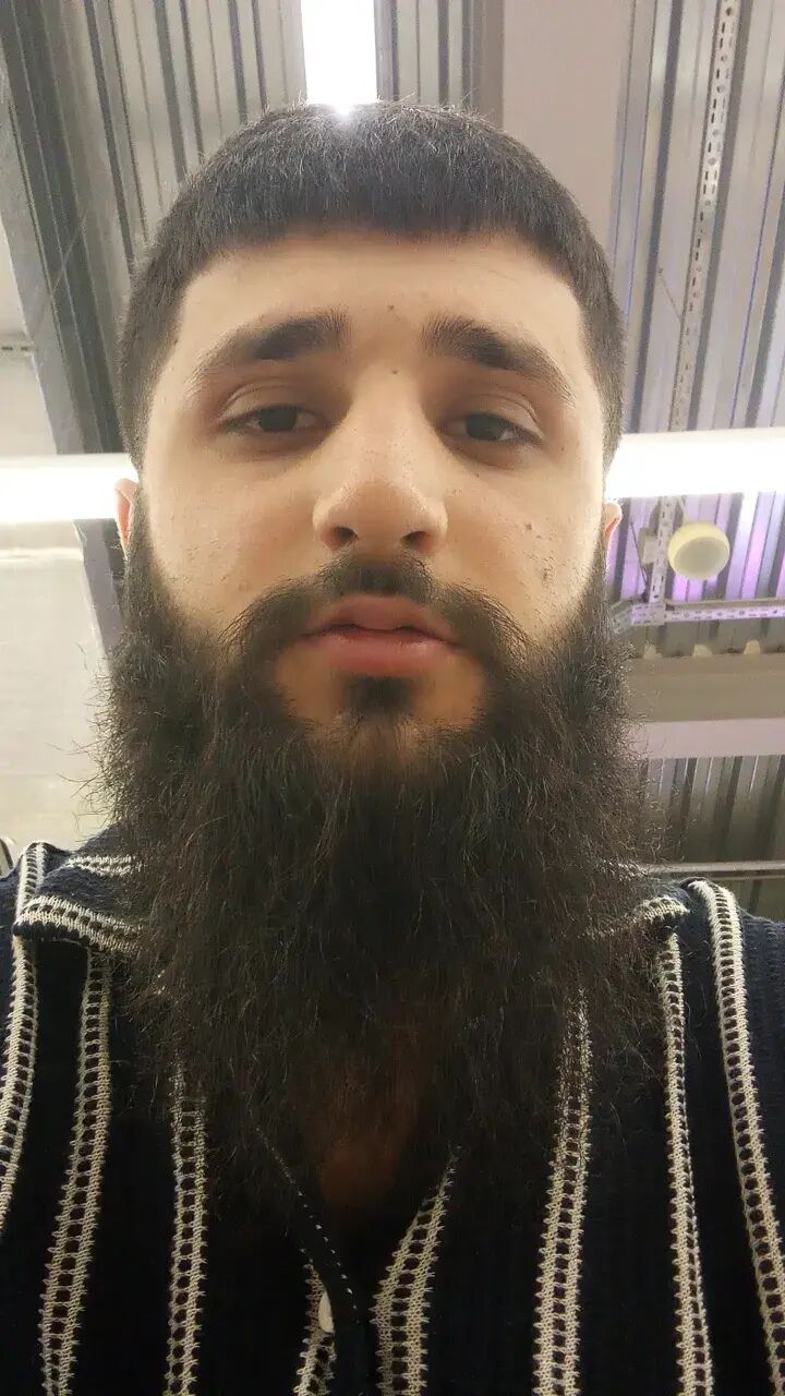  43593631  , 31 ,    
