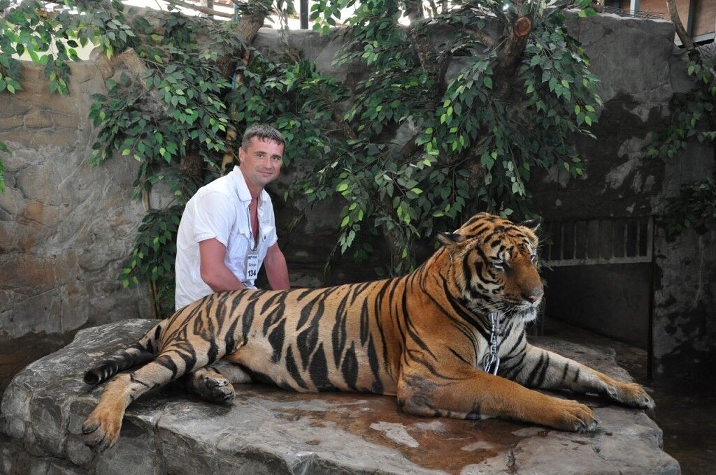 ���� 11074071 ������� �����, 48 ���, ���� ���������� � �������