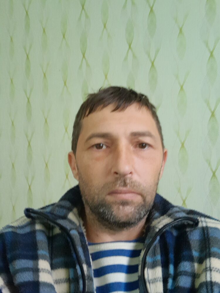  49686281  , 46 ,    