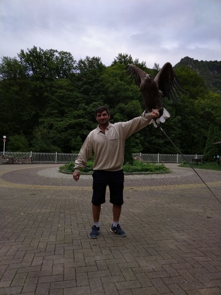 ���� 31678641 ������� ������, 52 ����, ���� ���������� � ����������