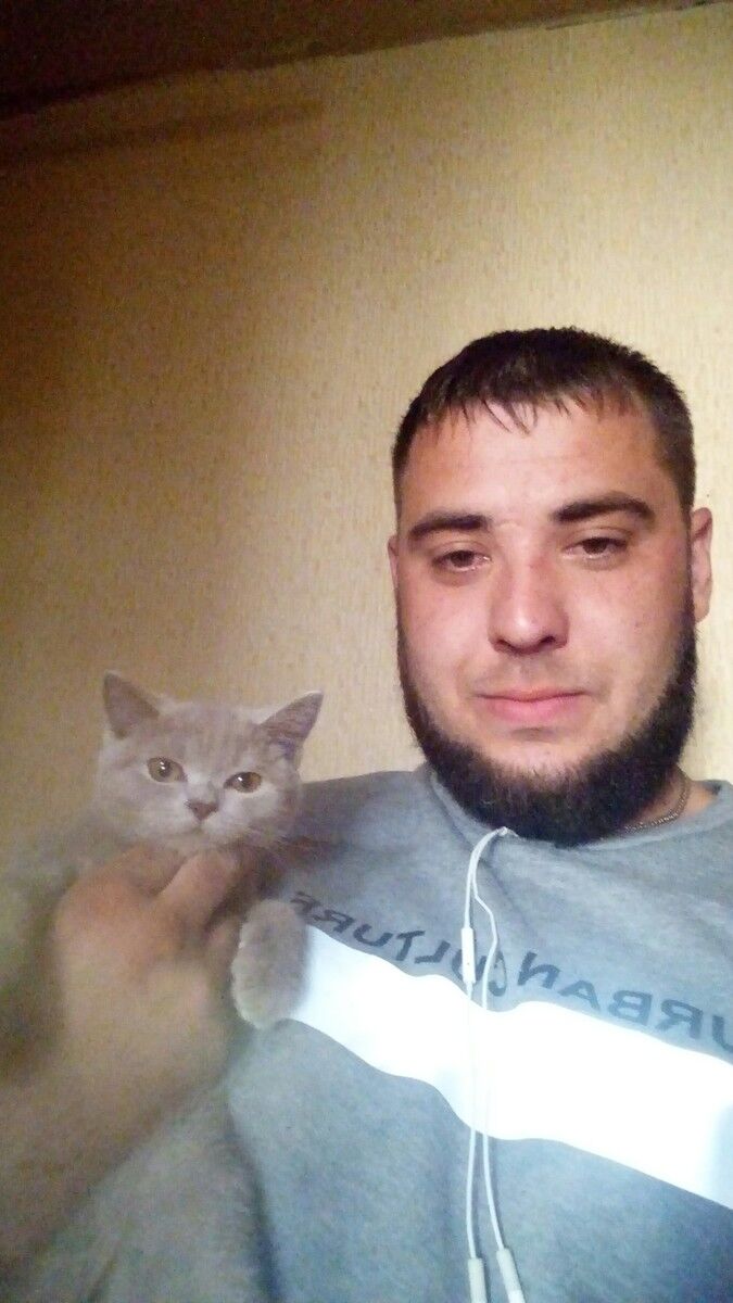 ���� 17931181 ������� ���������, 32 ����, ���� ���������� � ����������