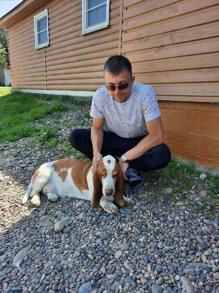 ���������� �������, ���� ������� ������, 36 ���, ������������ ��� c�������� ���������