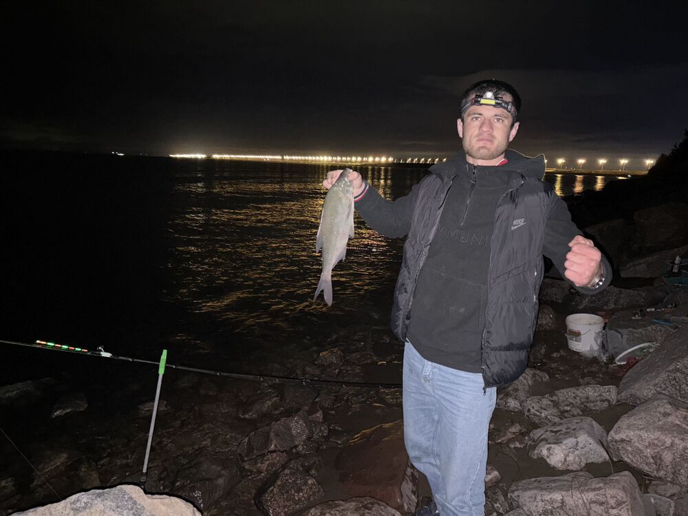 ���������� �����-���������, ���� ������� �������, 28 ���, ������������ ��� ������, ����� � ���������