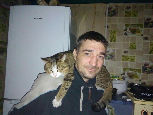 ���� 23940021 ������� �����, 46 ���, ���� ���������� � �����������