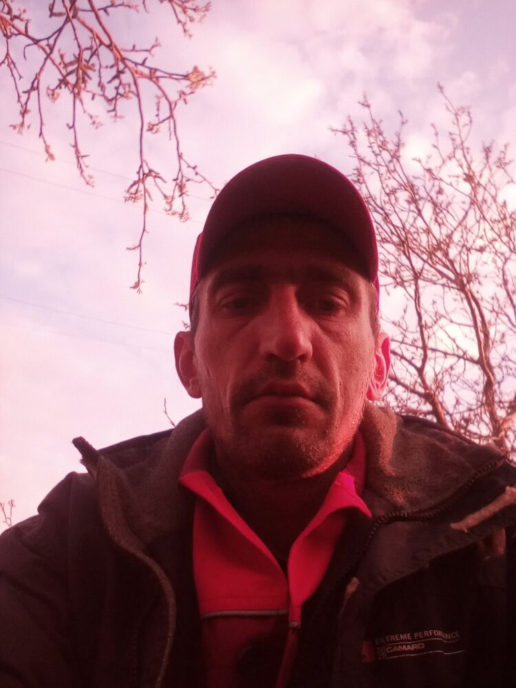  15846491  , 41 ,    