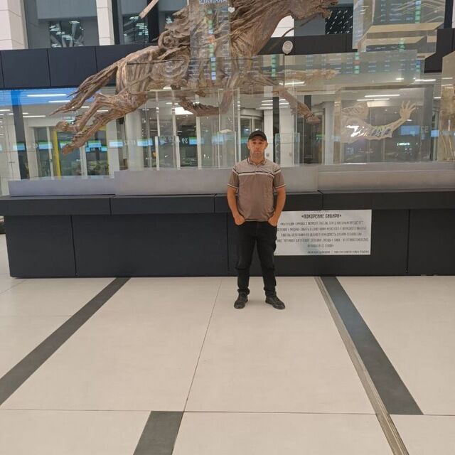  53042351  , 33 ,    -