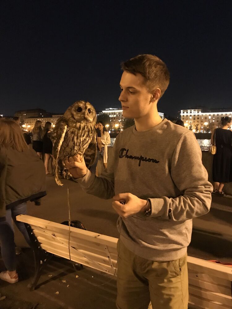 ���� 26009441 ������� �����, 26 ���, ���� ���������� � ��������