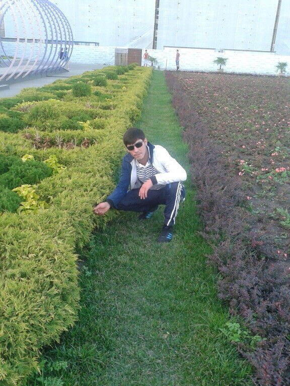 ���������� ������-��-����, ���� ������� �����, 32 ����, ������������ ��� ������, ����� � ���������, c�������� ���������