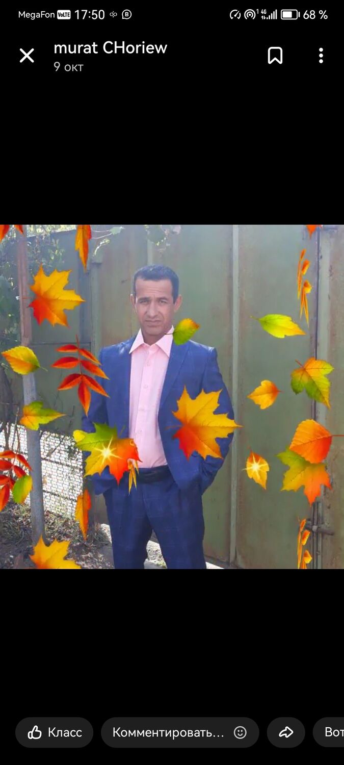  46969041  , 50 ,    