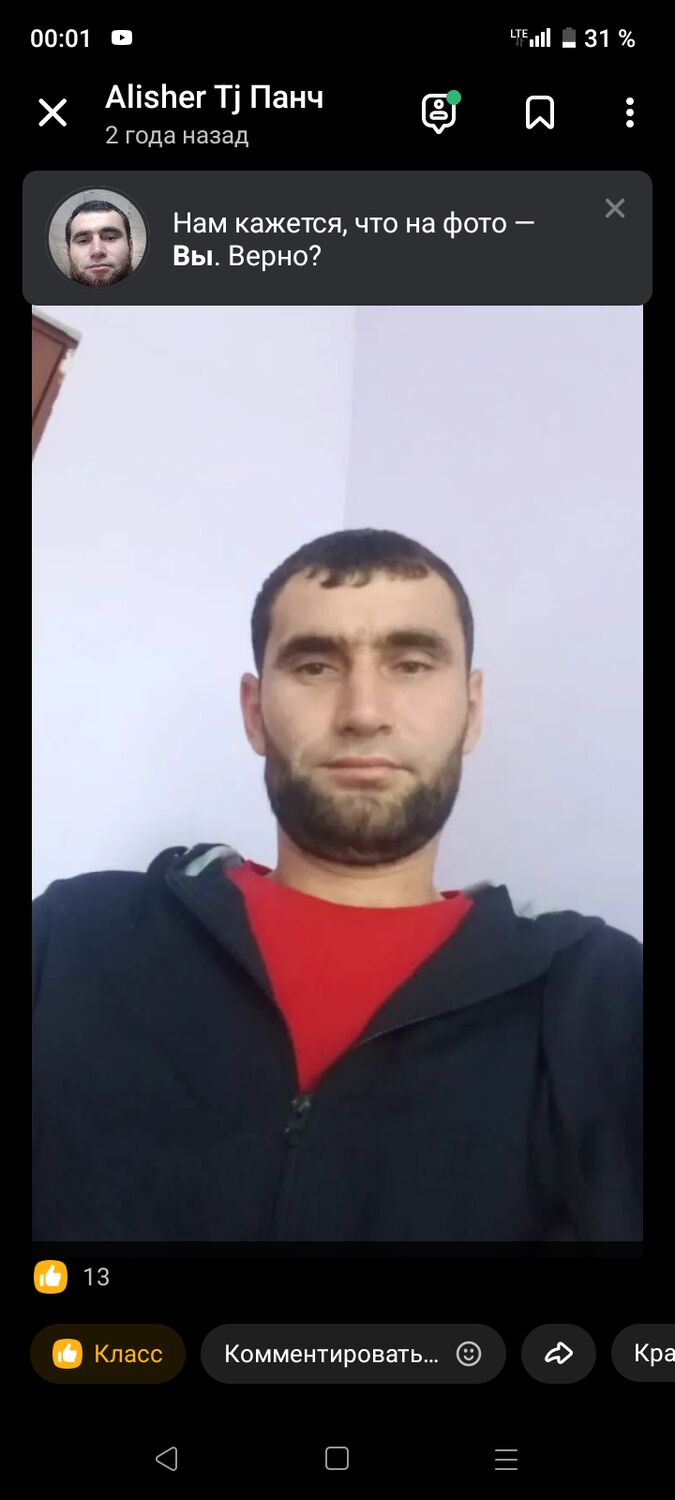  44133311  , 37 ,    