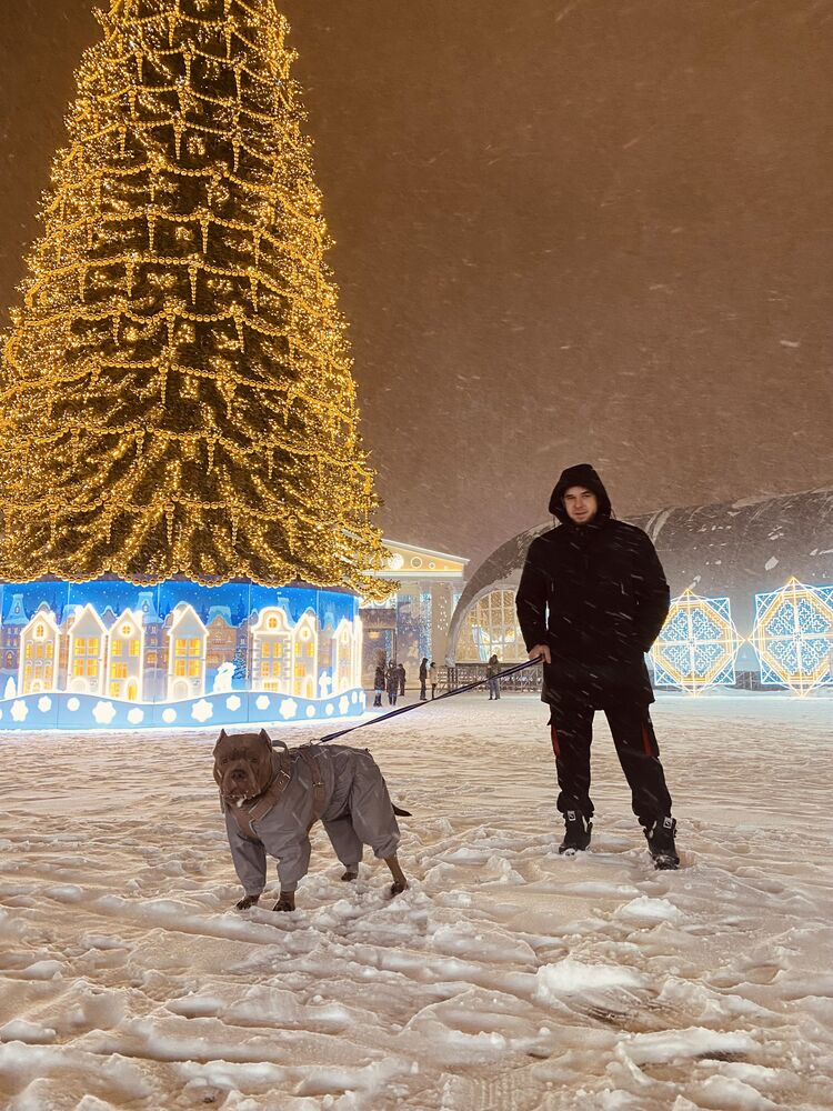 ���� 24765581 ������� �������, 32 ����, ���� ���������� � ���������