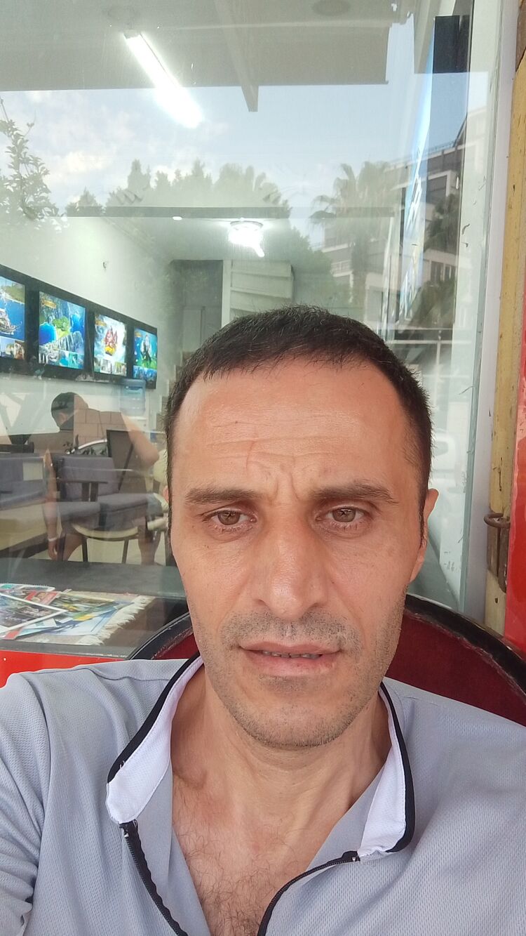 53168861  , 43 ,    