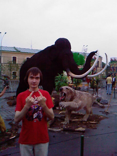 ���� 5585441 ������� ���������, 36 ���, ���� ���������� � ��������