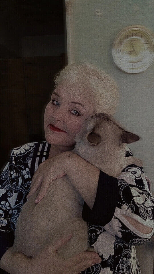 ���� 56198841 ������� ������, 55 ���, ���� ���������� � ��������������