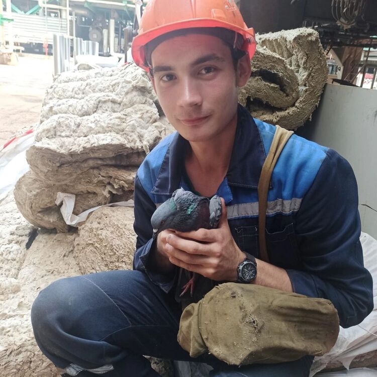 ���� 31018061 ����� ������, 25 ���, ���� ���������� � ����������